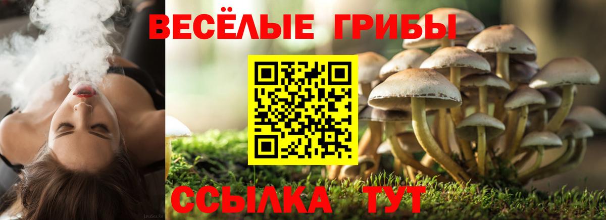Псилоцибиновые грибы MAGIC MUSHROOMS Избербаш